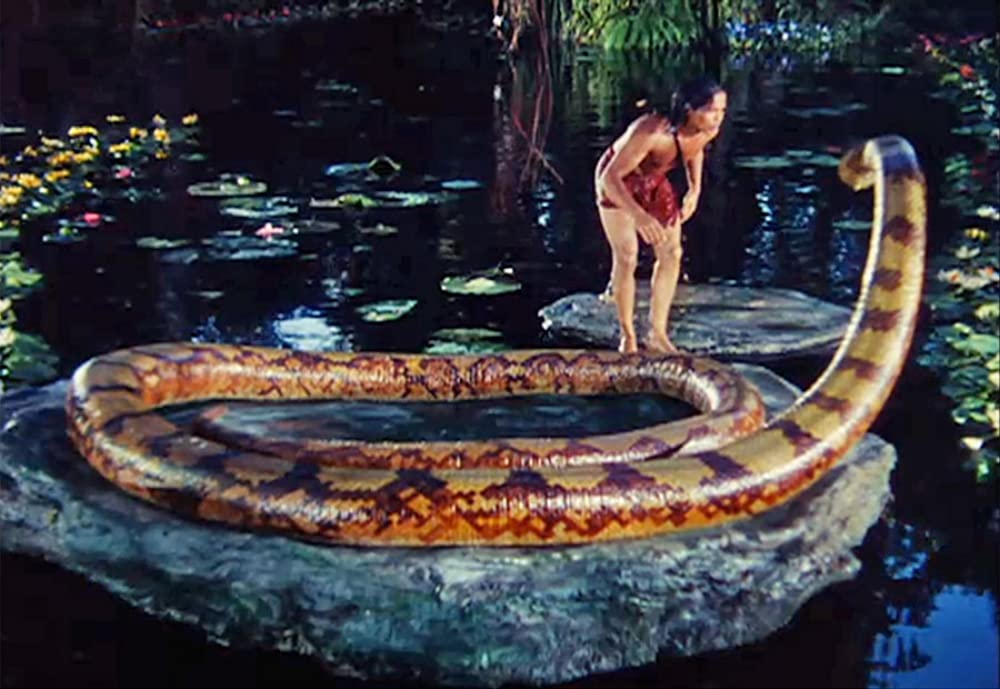 「ジャングル・ブック」サブーの画像