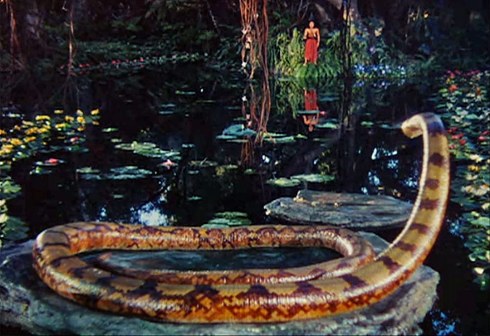 ジャングル・ブックの画像