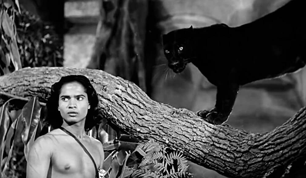 ジャングル・ブックの画像