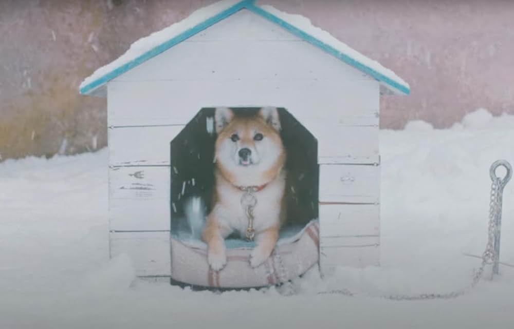 ぼくのお日さまの画像