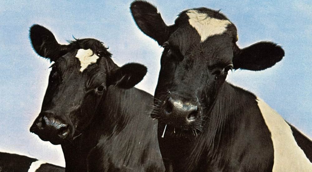 ヒプノシス レコードジャケットの美学の画像