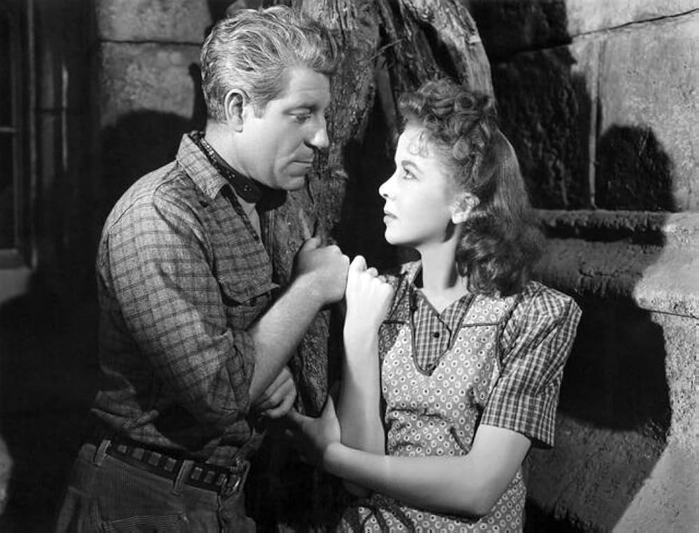 「夜霧の港」の画像