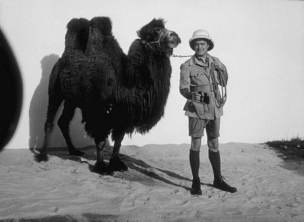 モロッコへの道の画像