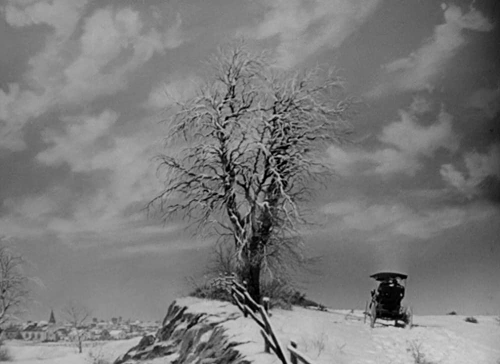 偉大なるアンバーソン家の人々の画像