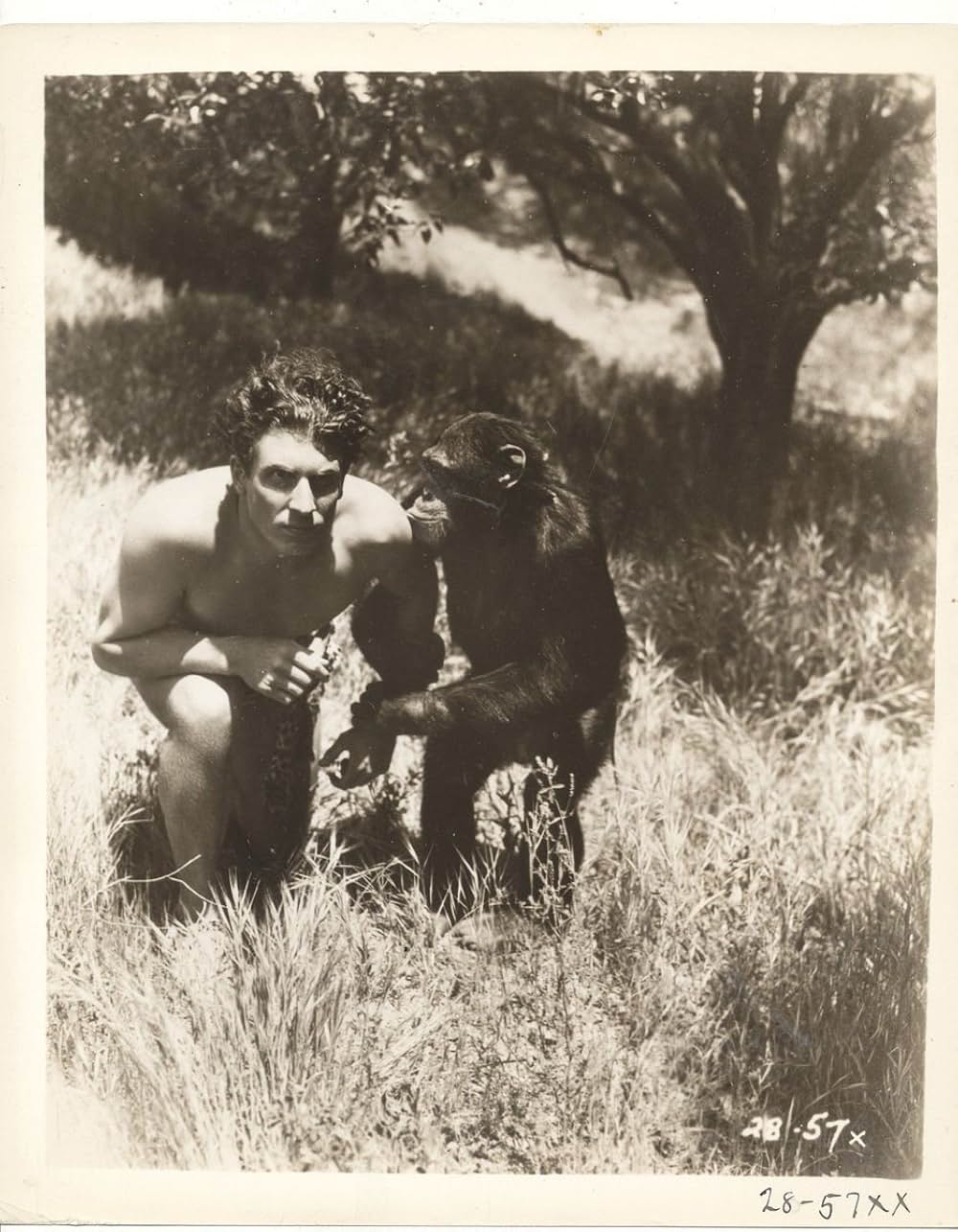 大ターザンの画像