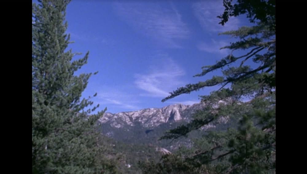 ザ・ブギーマン Resurrectionの画像