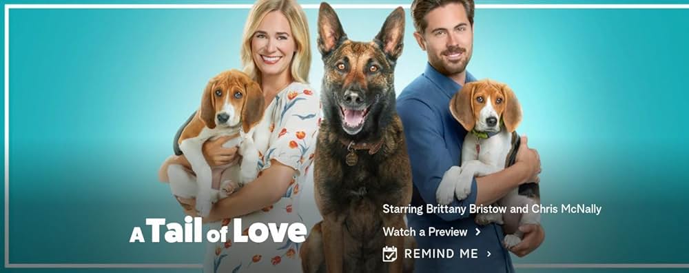 ワンダフル・ラブ 保護犬インディがつないだ恋の画像