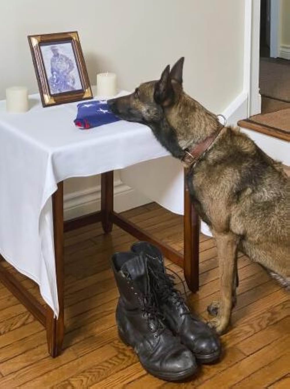 ワンダフル・ラブ 保護犬インディがつないだ恋の画像