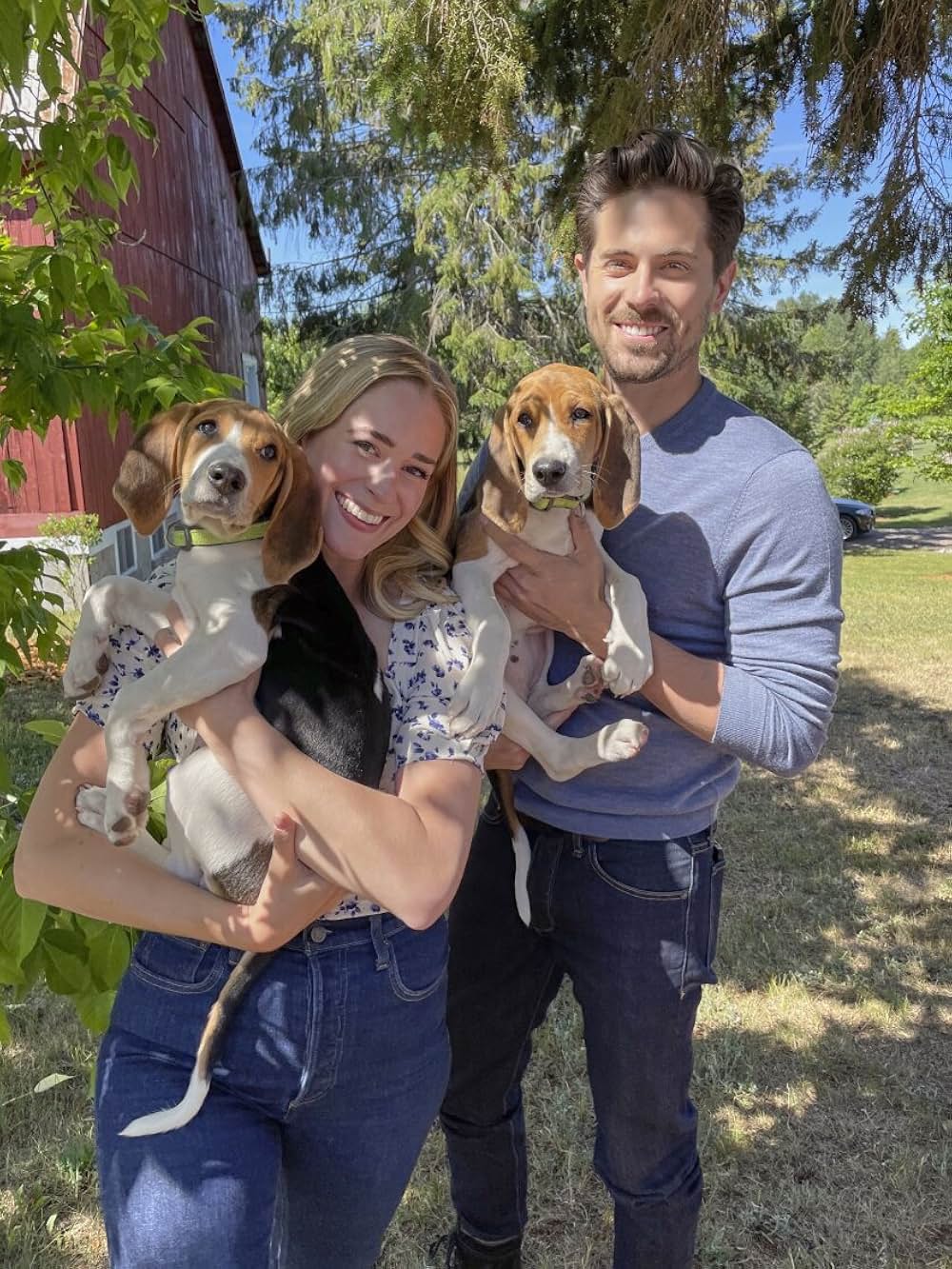 ワンダフル・ラブ 保護犬インディがつないだ恋の画像