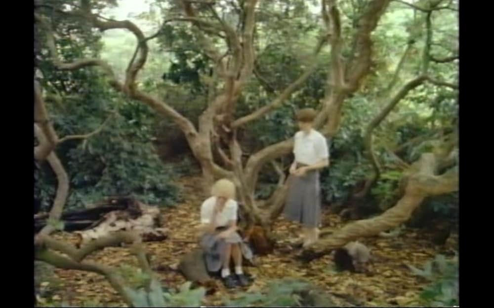 ローラの青春の画像