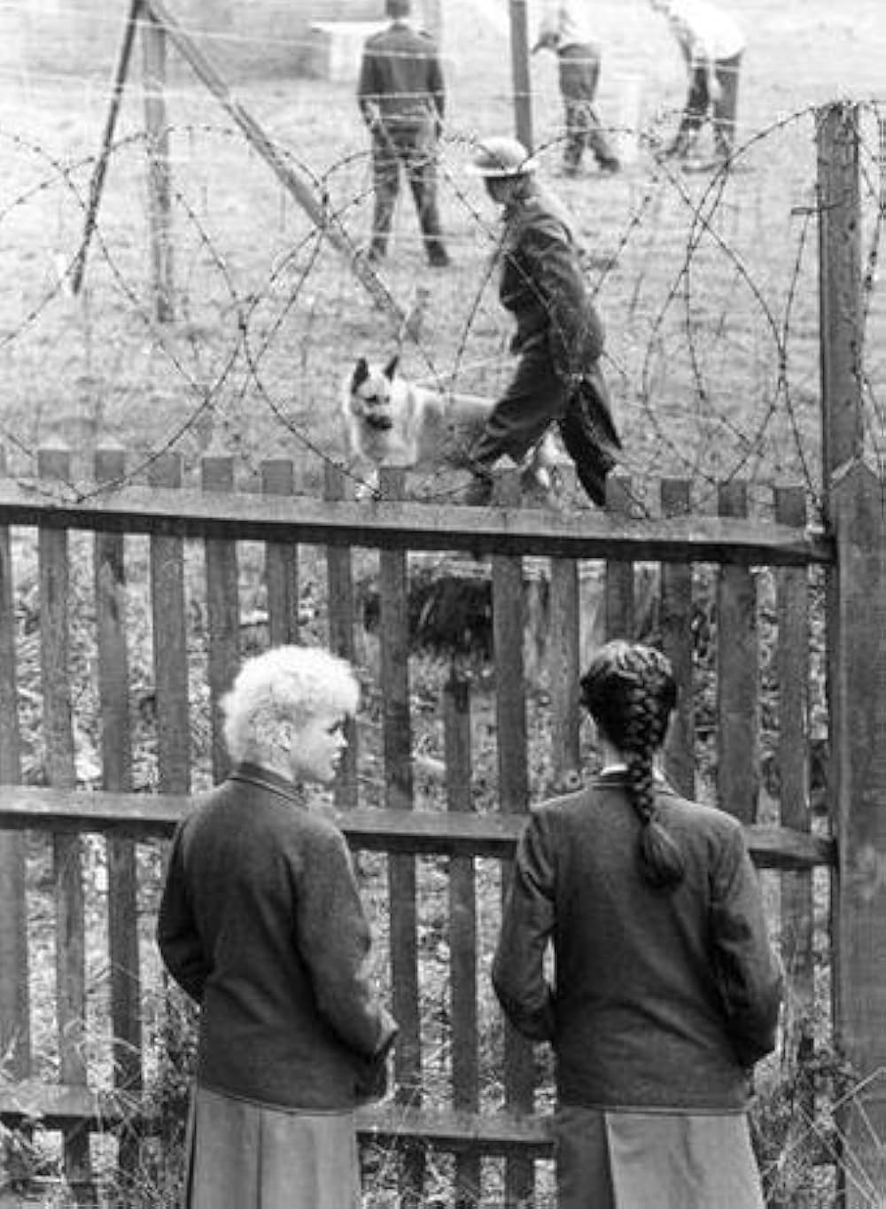 ローラの青春の画像