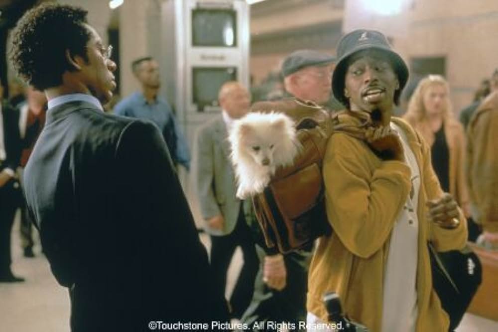 「ダブル・テイク」の画像