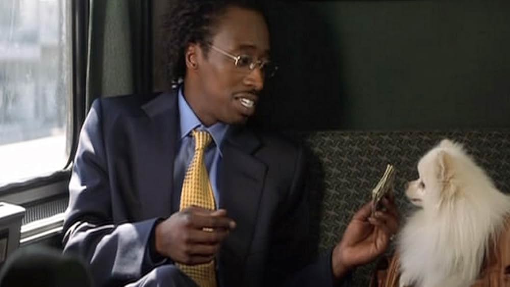 「ダブル・テイク」の画像