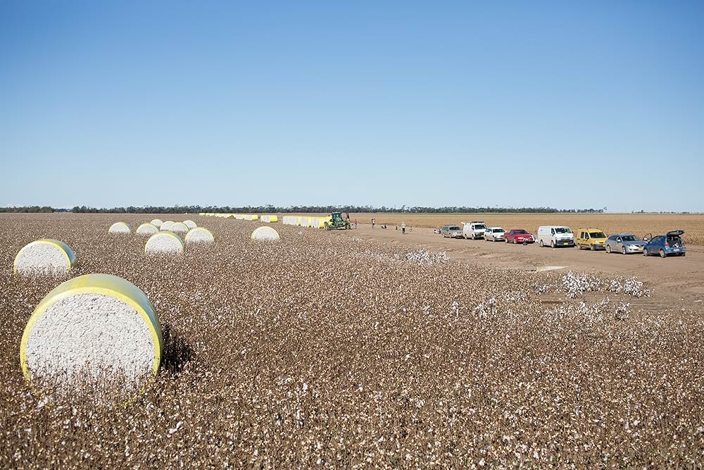 彼は私のイマジナリーフレンドの画像
