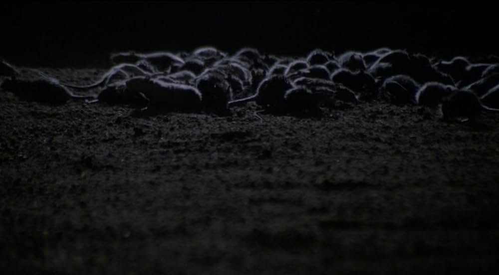 スペクターズ／鮮血のローマの画像