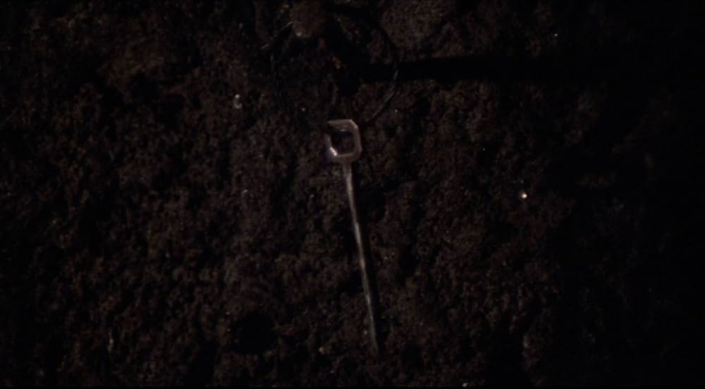 スペクターズ／鮮血のローマの画像