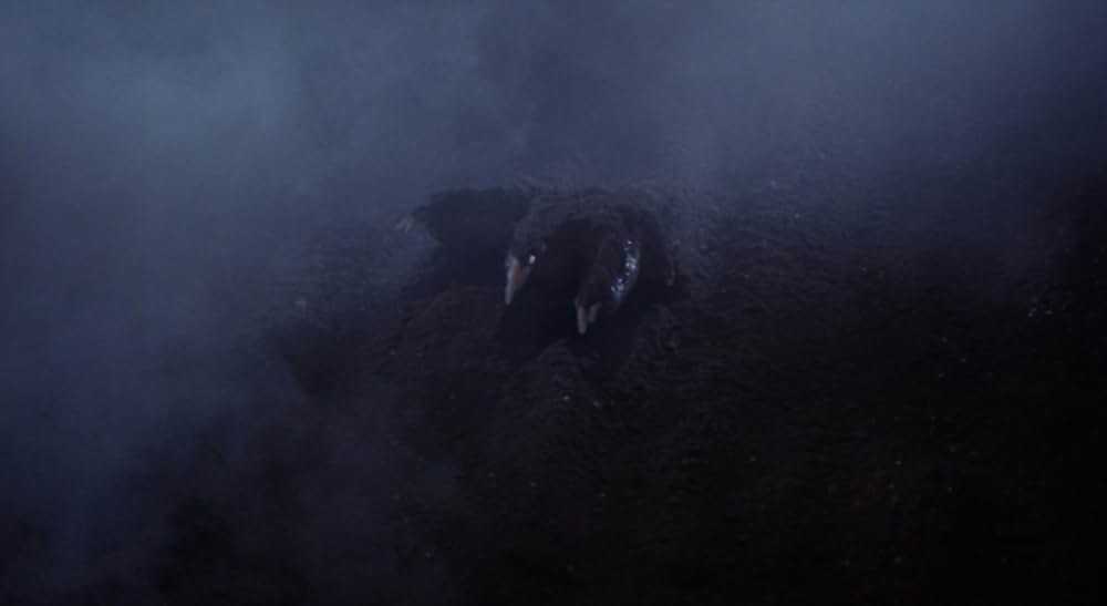 スペクターズ／鮮血のローマの画像