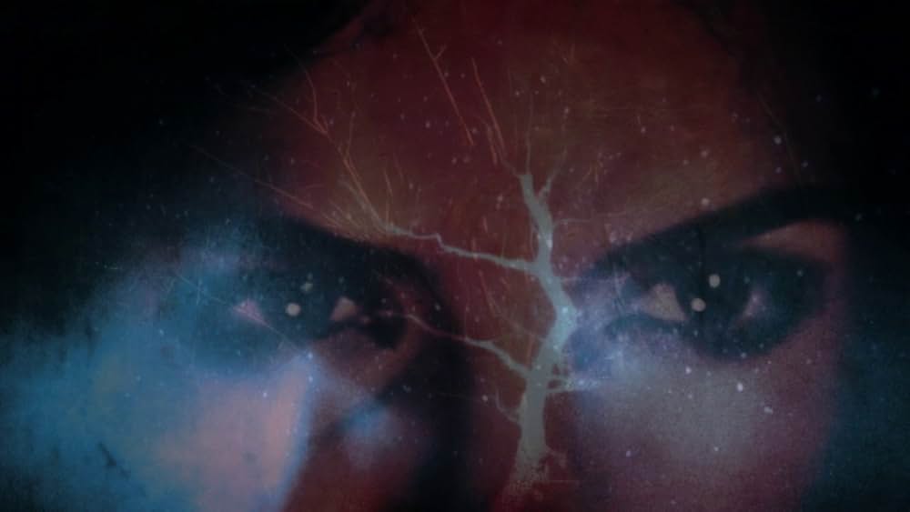 The Forbidden Room（原題）の画像