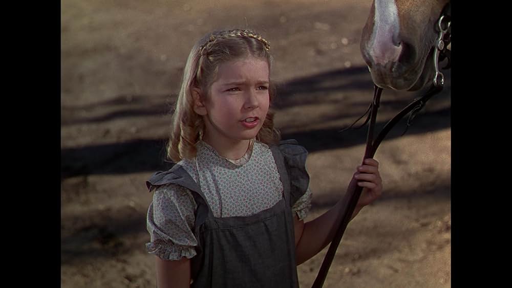 落日の決闘の画像