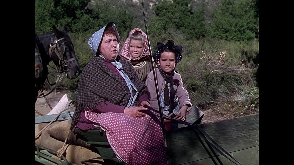 落日の決闘の画像