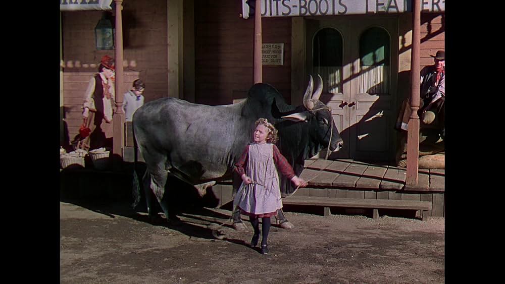 落日の決闘の画像