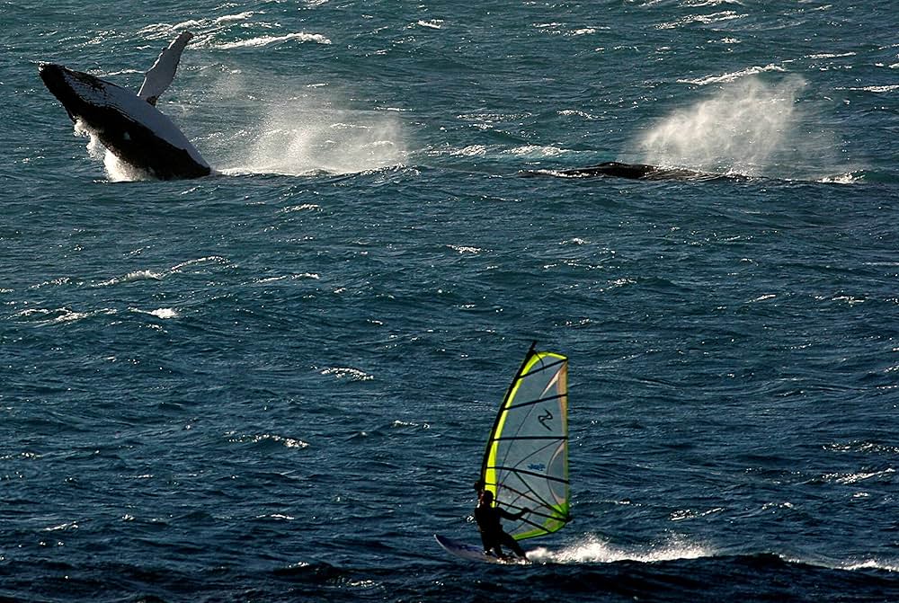 ラスト・パラダイスの画像