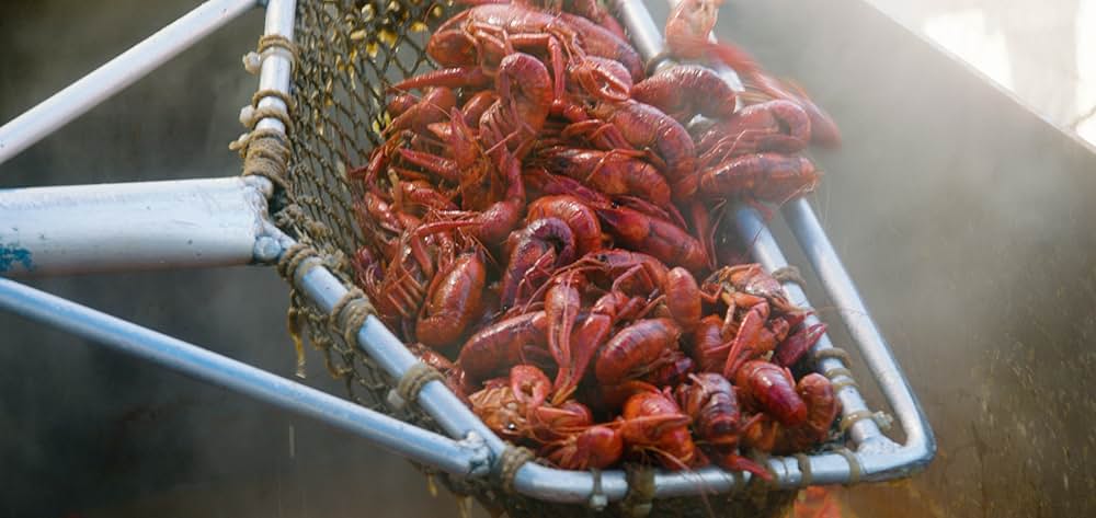 ジャズ・フェス：ニューオーリンズ・ストーリーの画像