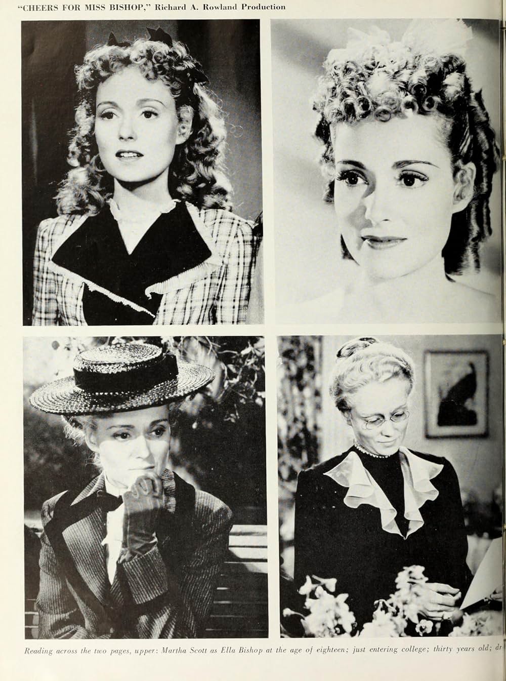 美しき生涯の画像