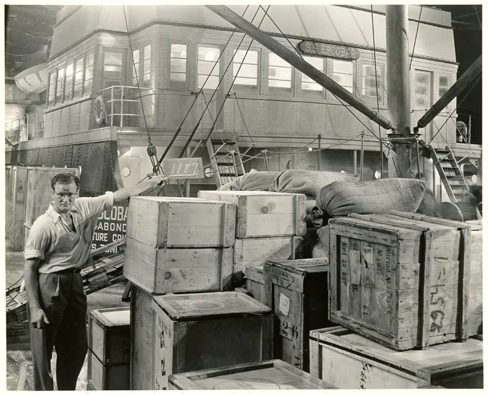 十一人の脱獄者の画像