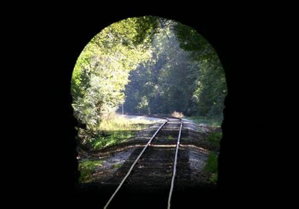 評決の行方の画像