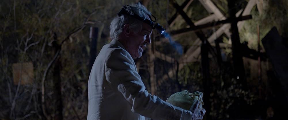 The Unhealer（原題）の画像