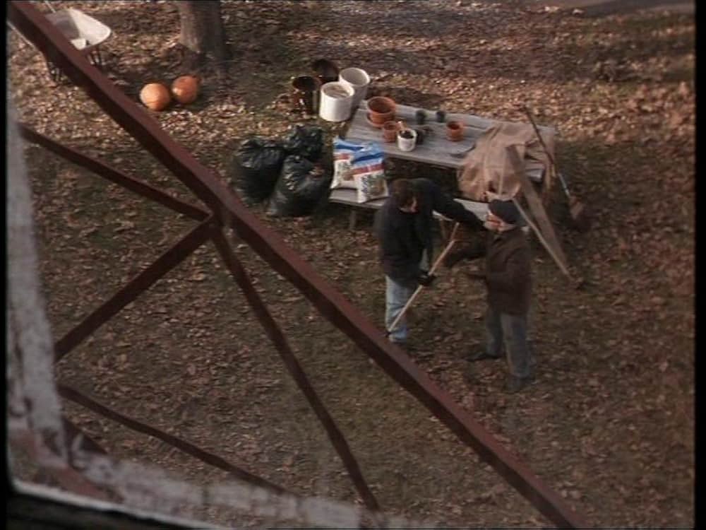 マニアック・コレクターの画像