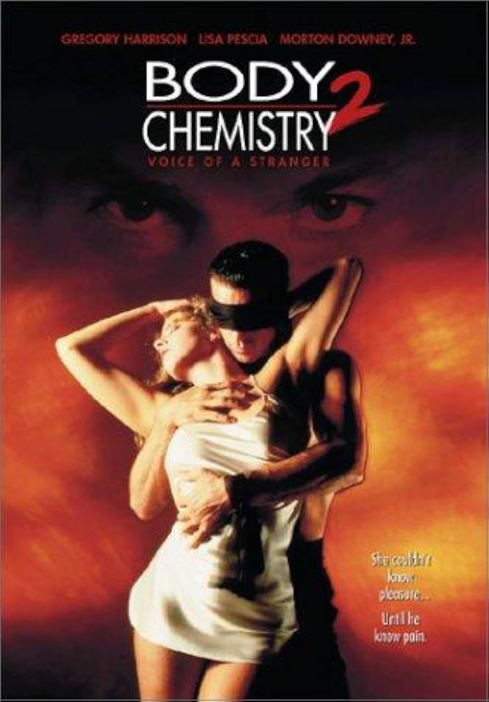 ボディ・トークの画像