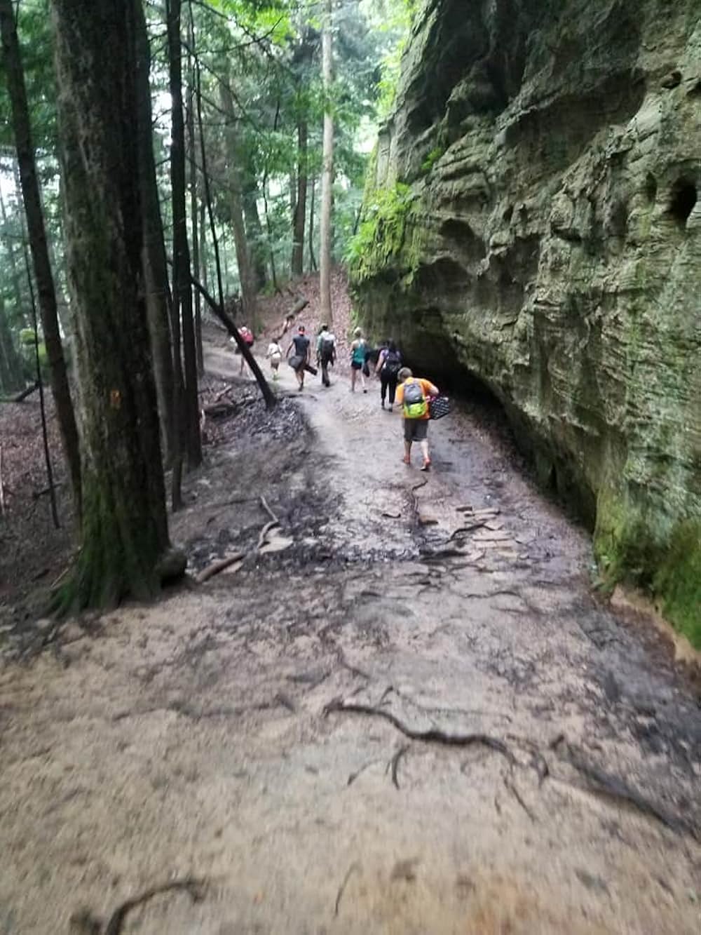 カディア 内なる世界の画像