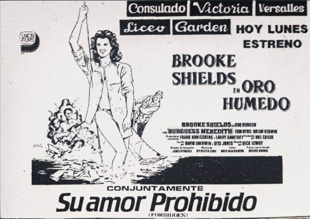 青い誘惑の画像