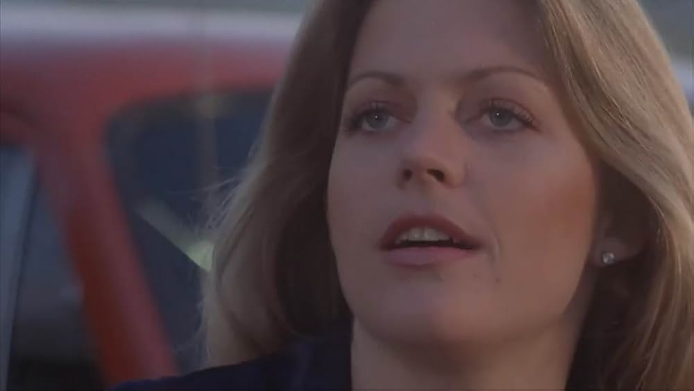 スタントマン殺人事件の画像