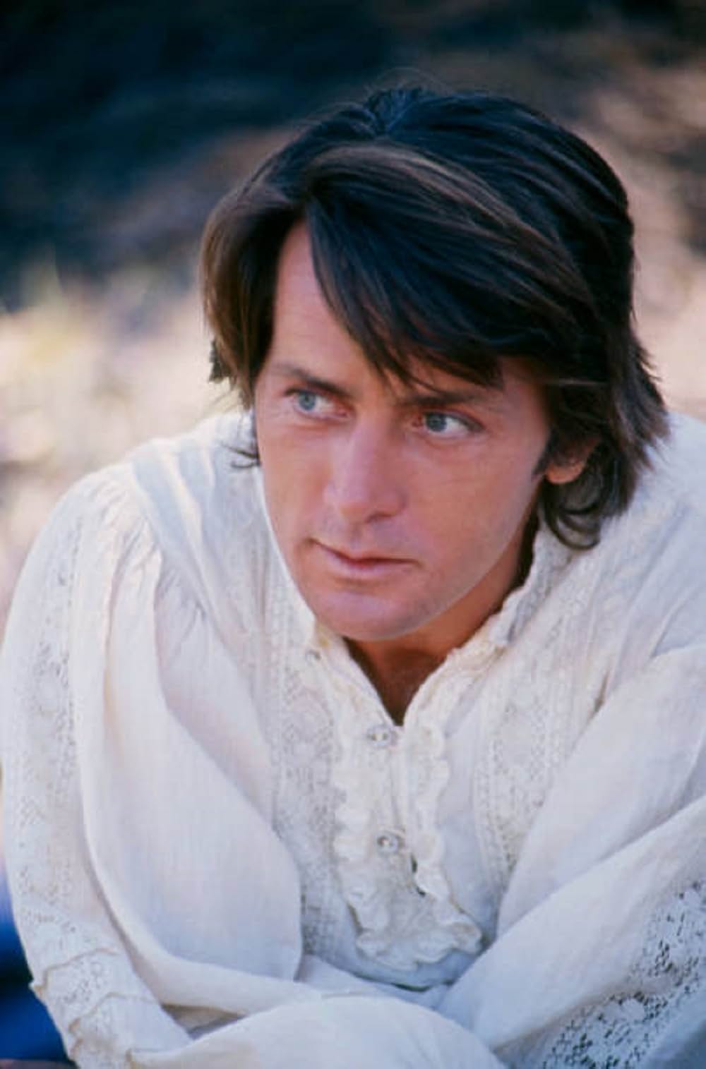 ふたりだけの森の画像