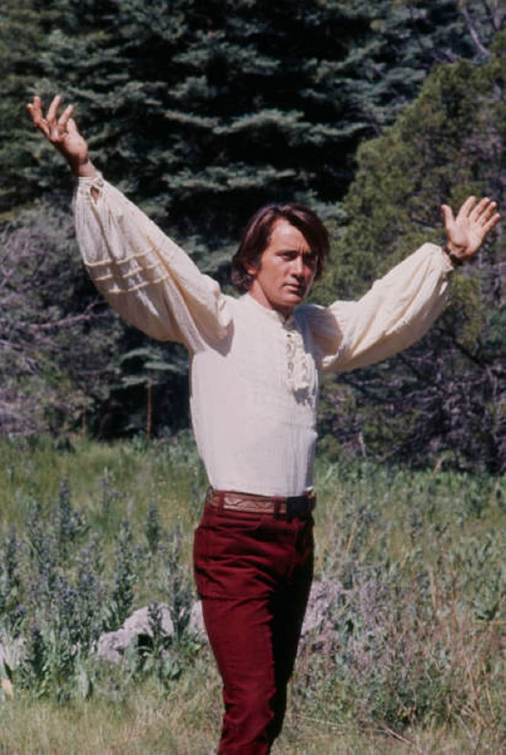 ふたりだけの森の画像