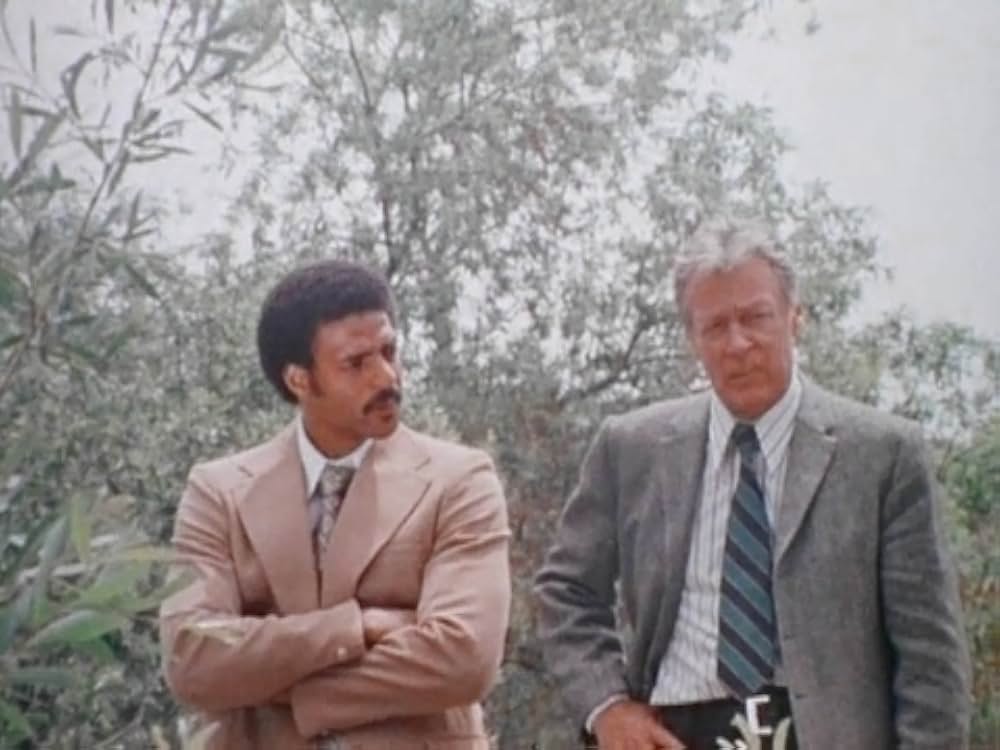 非虐のヒッチの画像