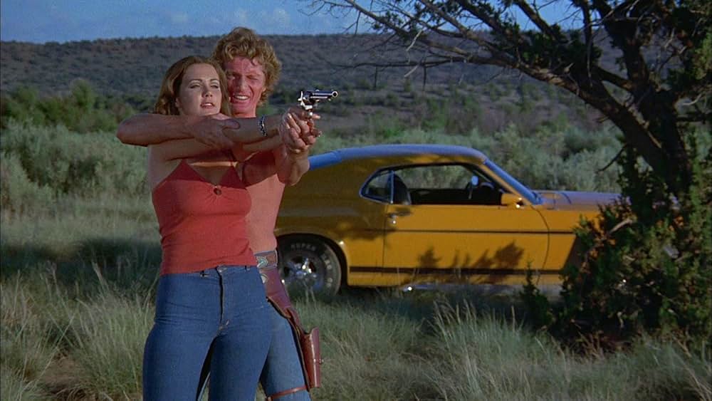 美女と無法者の画像