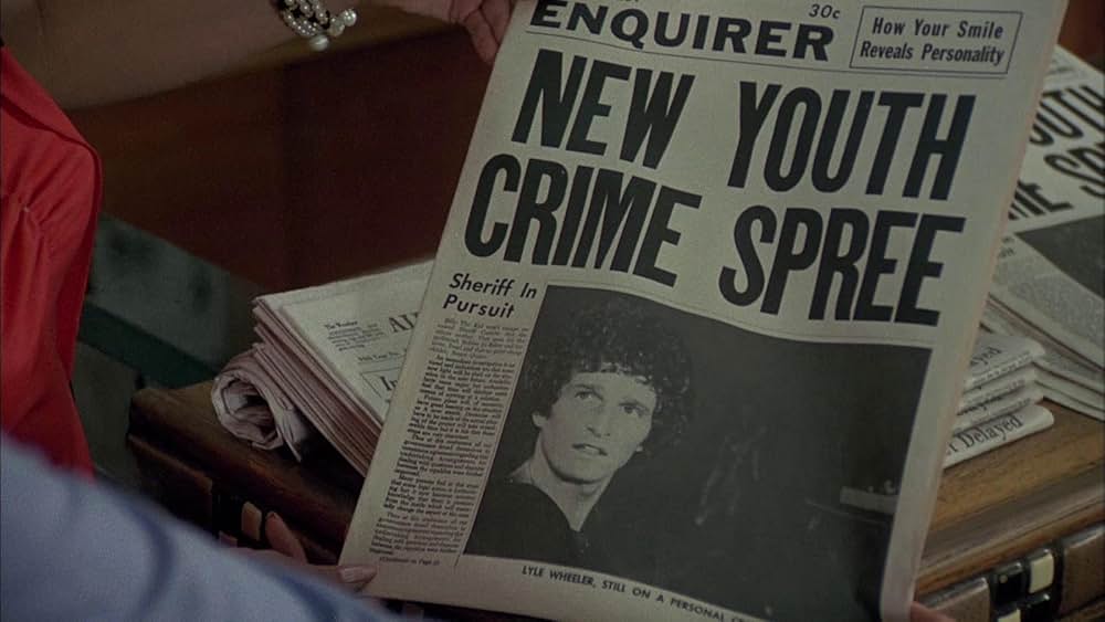 美女と無法者の画像