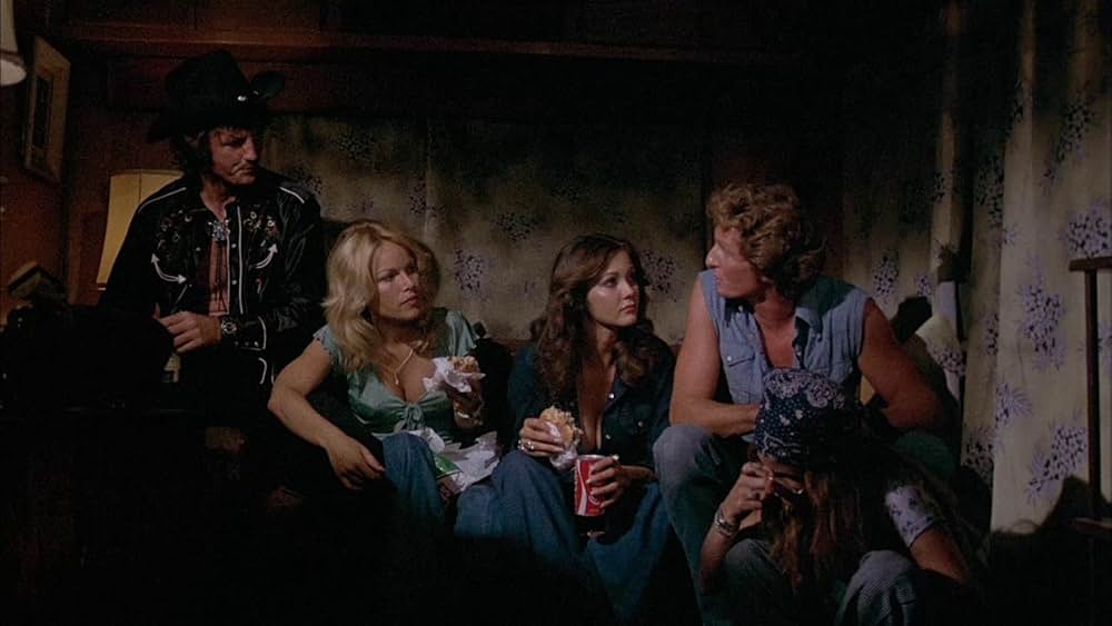 美女と無法者の画像