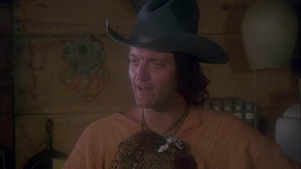 美女と無法者の画像