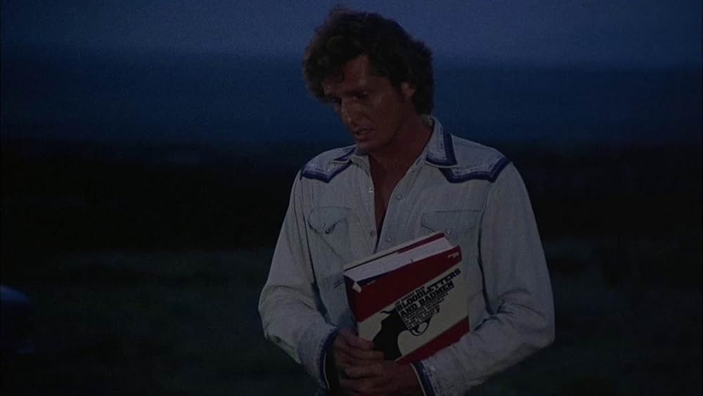 美女と無法者の画像