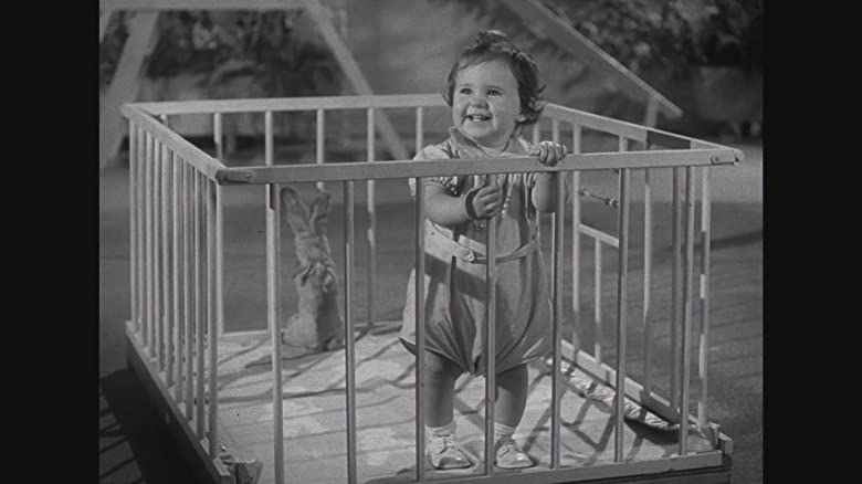 愛のアルバムの画像