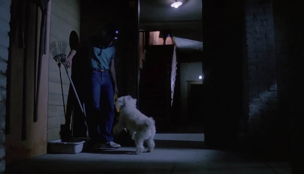 ラブレッスン殺人事件の画像