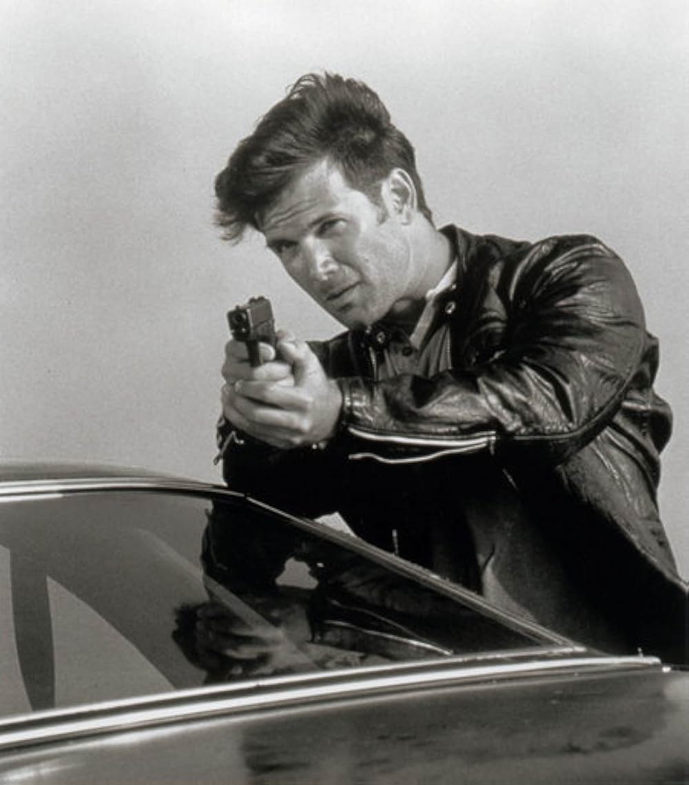 ICE／氷の女豹の画像