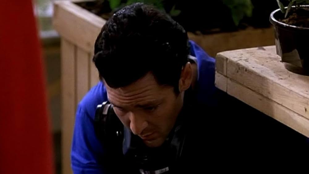 危険な薔薇の吐息の画像