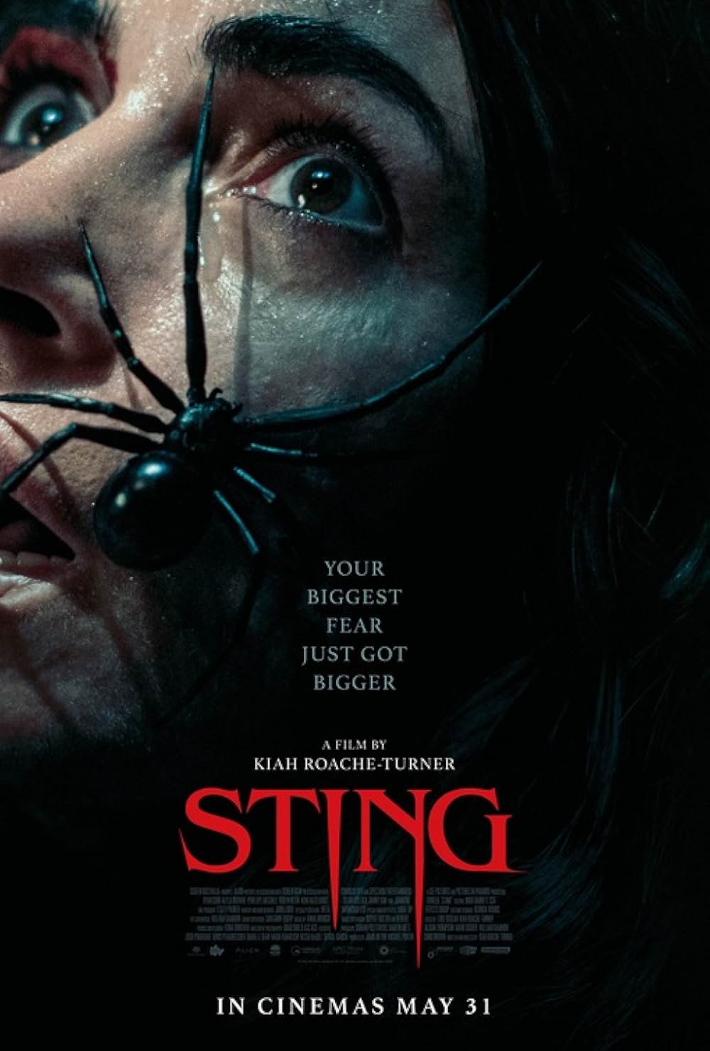 「Sting（原題）」の画像