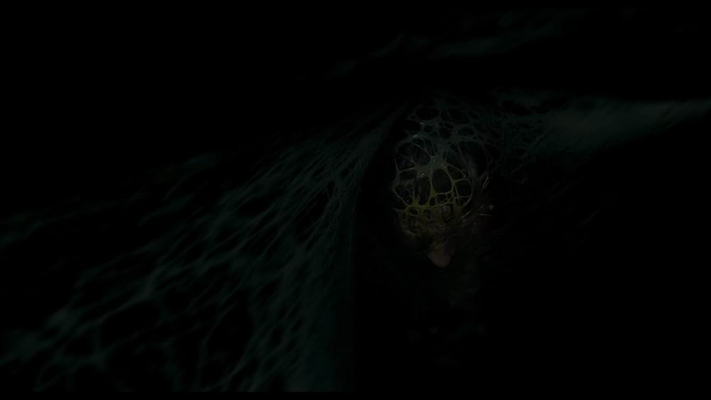 「Sting（原題）」の画像